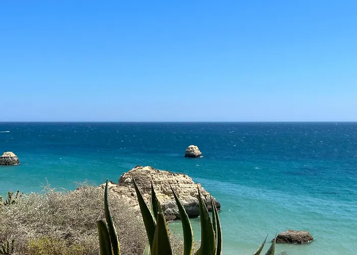 Da Rocha Torre - Апартаменты Портиман